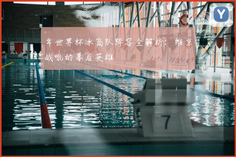 年世界杯冰岛队阵容全解析：维京战吼的幕后英雄