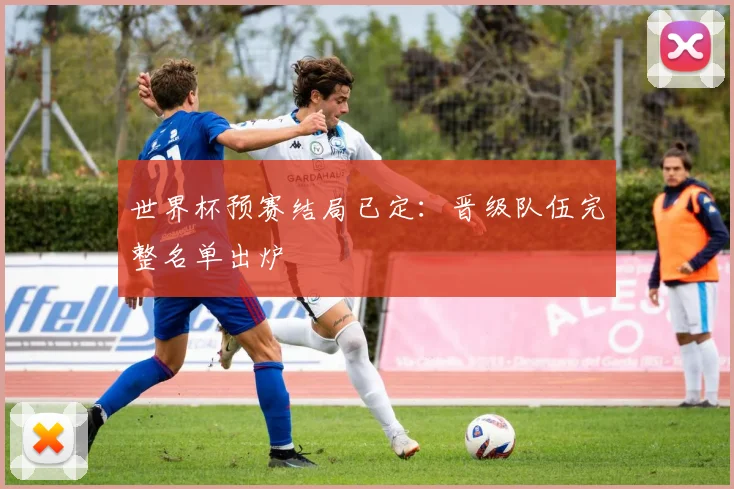 世界杯预赛结局已定:晋级队伍完整名单出炉