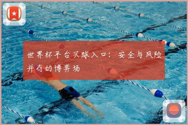世界杯平台买球入口：安全与风险并存的博弈场