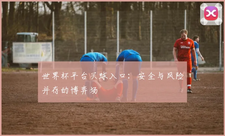 世界杯平台买球入口:安全与风险并存的博弈场
