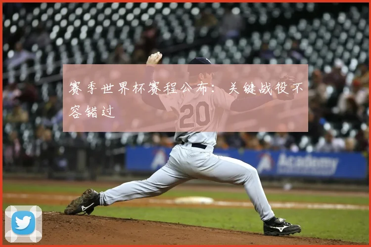 赛季世界杯赛程公布:关键战役不容错过