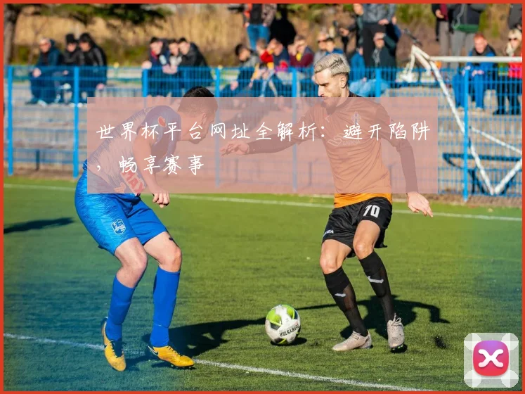 世界杯平台网址全解析：避开陷阱，畅享赛事