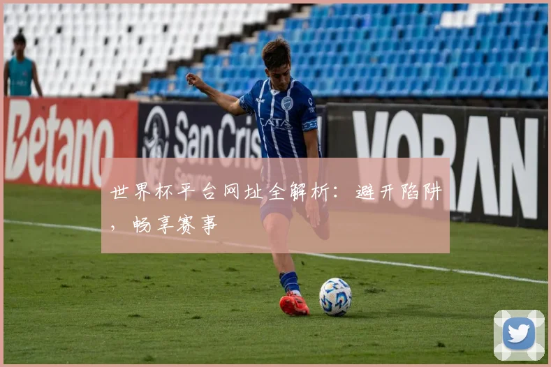 世界杯平台网址全解析:避开陷阱,畅享赛事